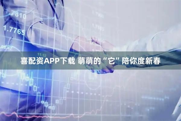 喜配资APP下载 萌萌的“它”陪你度新春